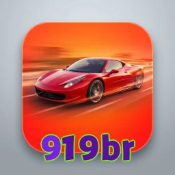 919br